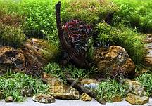 Background 066/45  (75/76)  Водный сад/Яркие камни 45см 1m
