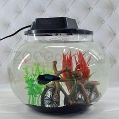 AQUA Аквариум Aqua круглый на 10 л. готовый комплект c рыбкой петушок и декором