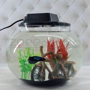 AQUA Аквариум Aqua круглый на 10 л. готовый комплект c рыбкой петушок и декором - фото 1 - id-p168946220