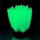GL-268230 GLOXY Морская лилия зеленая, 10х7,5х11см Флуорисцентная аквариумная декорация, фото 2