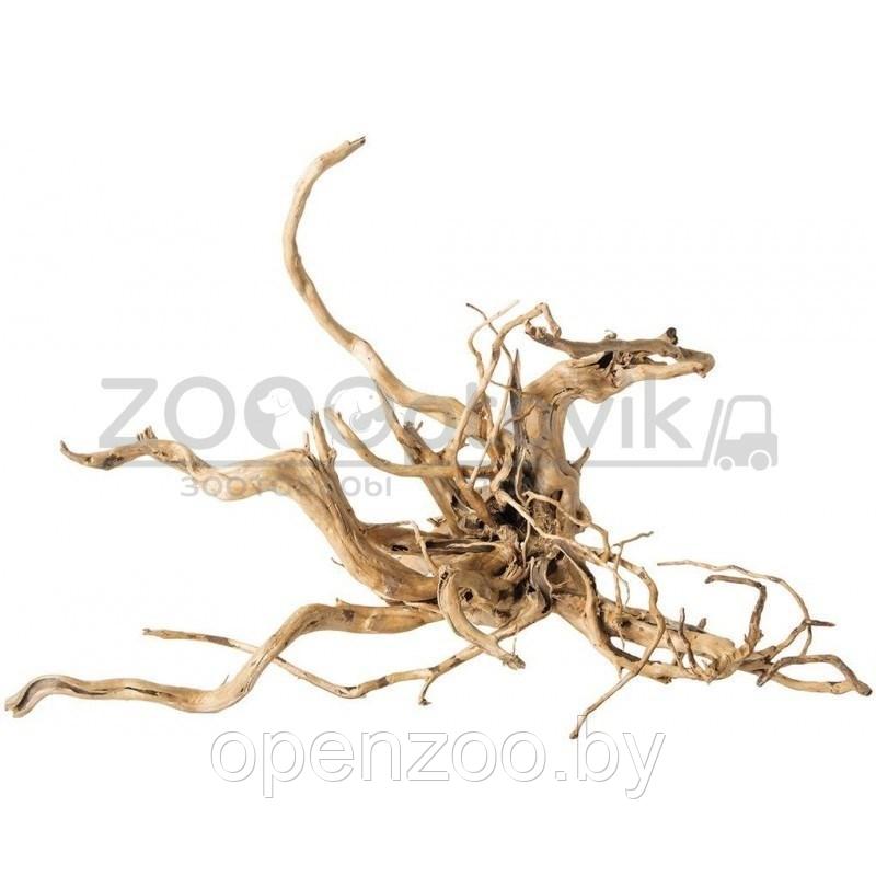 VladOx VladOx Коряга Паучий корень Slim Wood 40-50 см (цена за кг) - фото 4 - id-p168944368