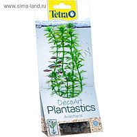 Tetra DecoArt Plantastics Anacharis S/15см, растение для аквариума