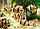 ZooAqua Барбус суматранский 2-2.5 см., фото 2