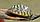 Улитка Дрейссана - пресноводная моллюск двухстворчатый, фото 5