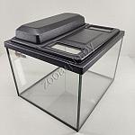 Черепашатники