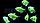 Тернеция Glo Fish Темно зеленые Мята 2,5-2,8 см, фото 2