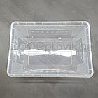 NOMOY PET Террариум для пауков и улиток пластиковый Big feeding box 32х22х15см, фото 4