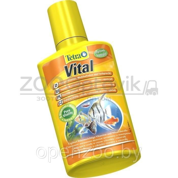 Tetra TETRA Vital, 500 ml на 1000 л - фото 2 - id-p168943815