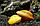 ZooAqua Улитка корбикула яванская - двухстворка желтая, фото 2