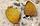 ZooAqua Улитка корбикула яванская - двухстворка желтая, фото 5