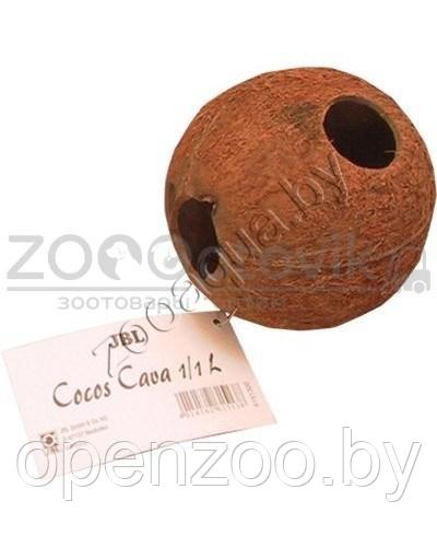 JBL JBL Cocos Cava 3/4 L - Пещерка из скорлупы кокосового ореха для аквариума и террариума - фото 3 - id-p147653783