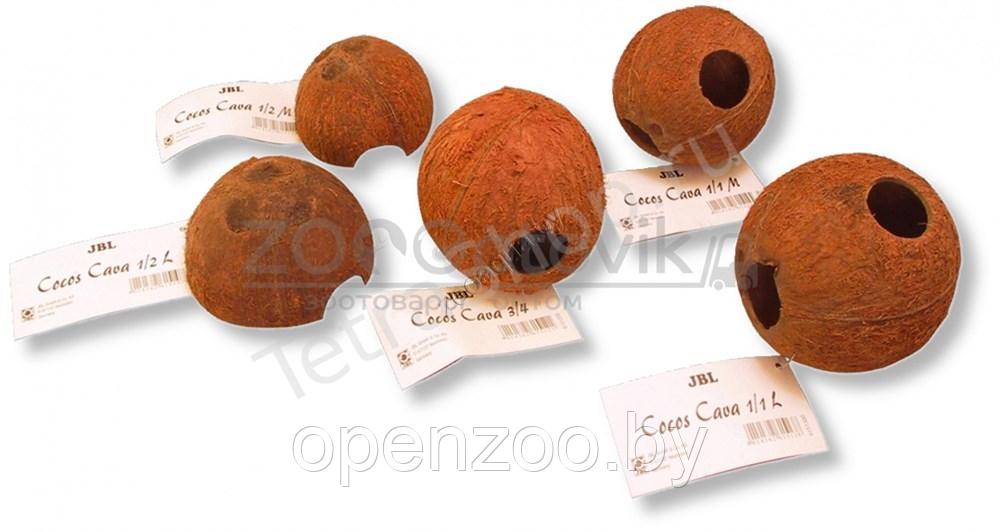 JBL JBL Cocos Cava 3/4 L - Пещерка из скорлупы кокосового ореха для аквариума и террариума - фото 4 - id-p147653783