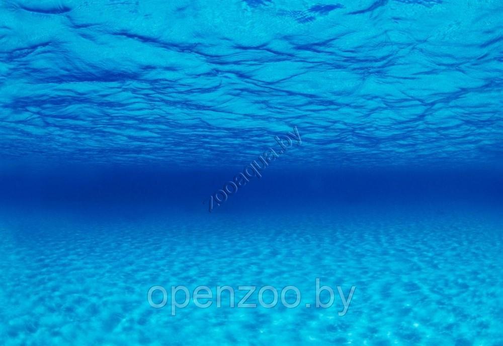 Barbus Background 051/45 (73/74) Морская лагуна/Натуральная мистика 45см на 1м. - фото 2 - id-p109806360