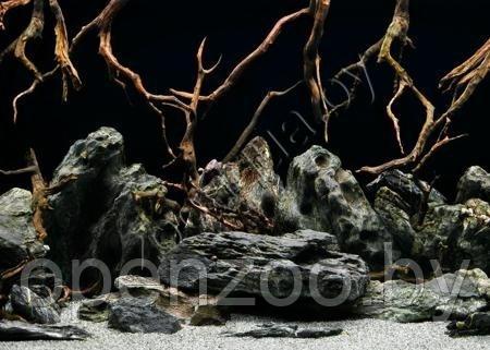 Barbus Фон для аквариума 052/60  (73/74)  Морская лагуна/Натуральная мистика 60см на 1m