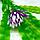 Barbus Пластиковое растение Plant 02930 Апоногетон курчавый 30см, фото 2