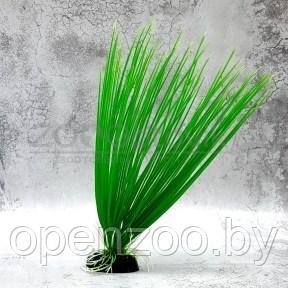 Barbus Пластиковое растение Plant 00730 Акорус 30см