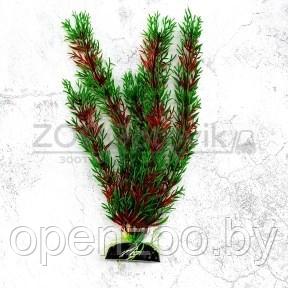 Barbus Пластиковое растение Plant 00130 Перестолистник красный 30 см