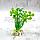 Barbus Растения MIX AР 10см, 10 шт в ассортименте, фото 7