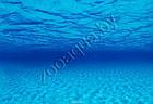 Barbus Фон для аквариума 052/60  (73/74)  Морская лагуна/Натуральная мистика 60см на 1m, фото 2
