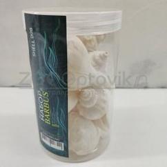 Barbus Shell 008 Набор морских раковин в банке 800мл300-400гр , 5,5-8,5 см
