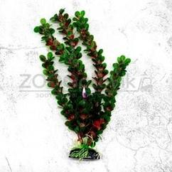 Barbus Пластиковое растение Plant 02230 Людвигия ползучая 30см