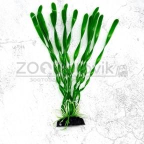 Barbus Пластиковое растение Plant 01430 Валиснерия спиральная 30см - фото 1 - id-p168945627