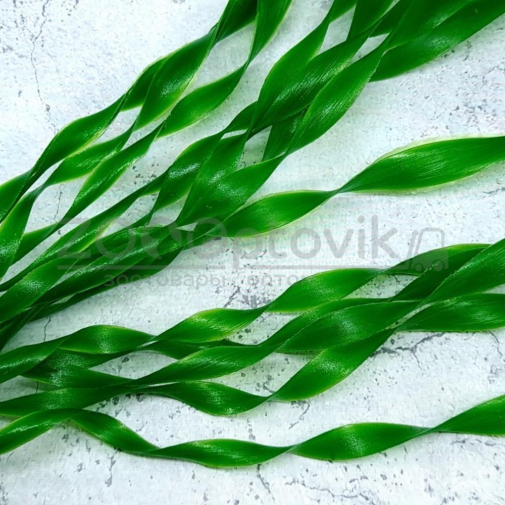 Barbus Пластиковое растение Plant 01430 Валиснерия спиральная 30см - фото 3 - id-p168945627