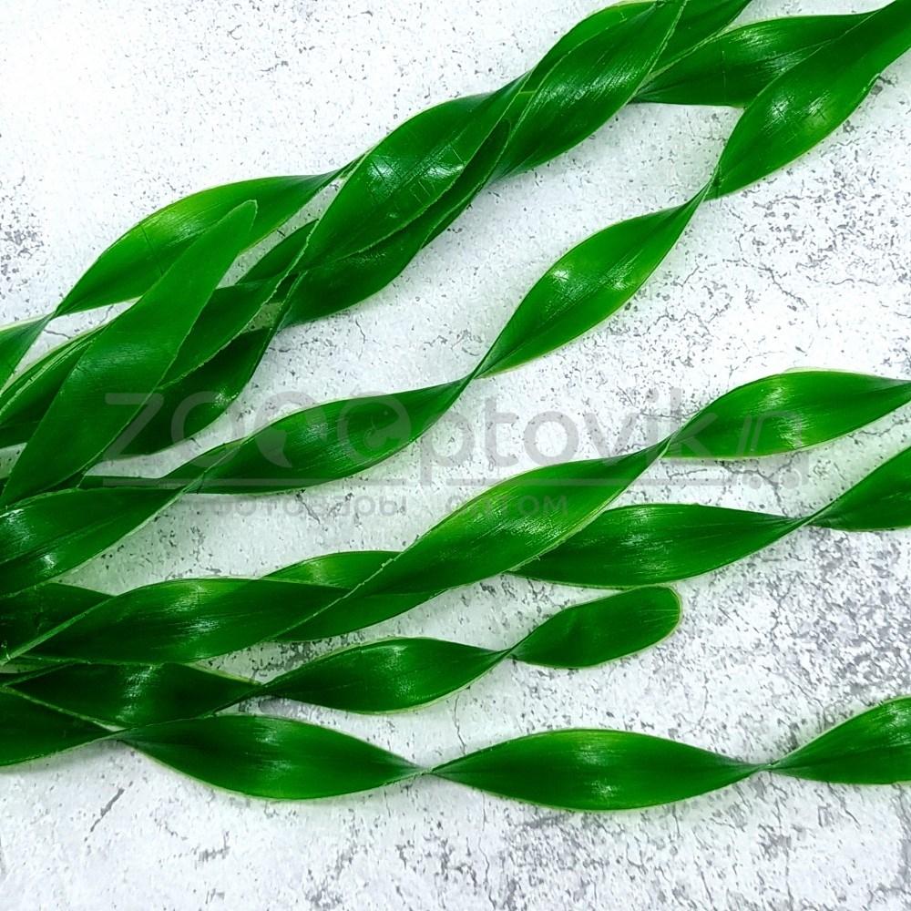 Barbus Пластиковое растение Plant 00530 Валиснерия широколистная 30см - фото 2 - id-p168945633