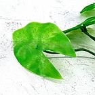 Barbus Пластиковое растение Plant 00330 Нимфея 30см, фото 2