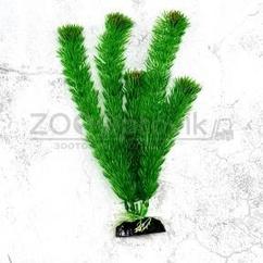 Barbus Пластиковое растение Plant 00230 Амбулия 30см