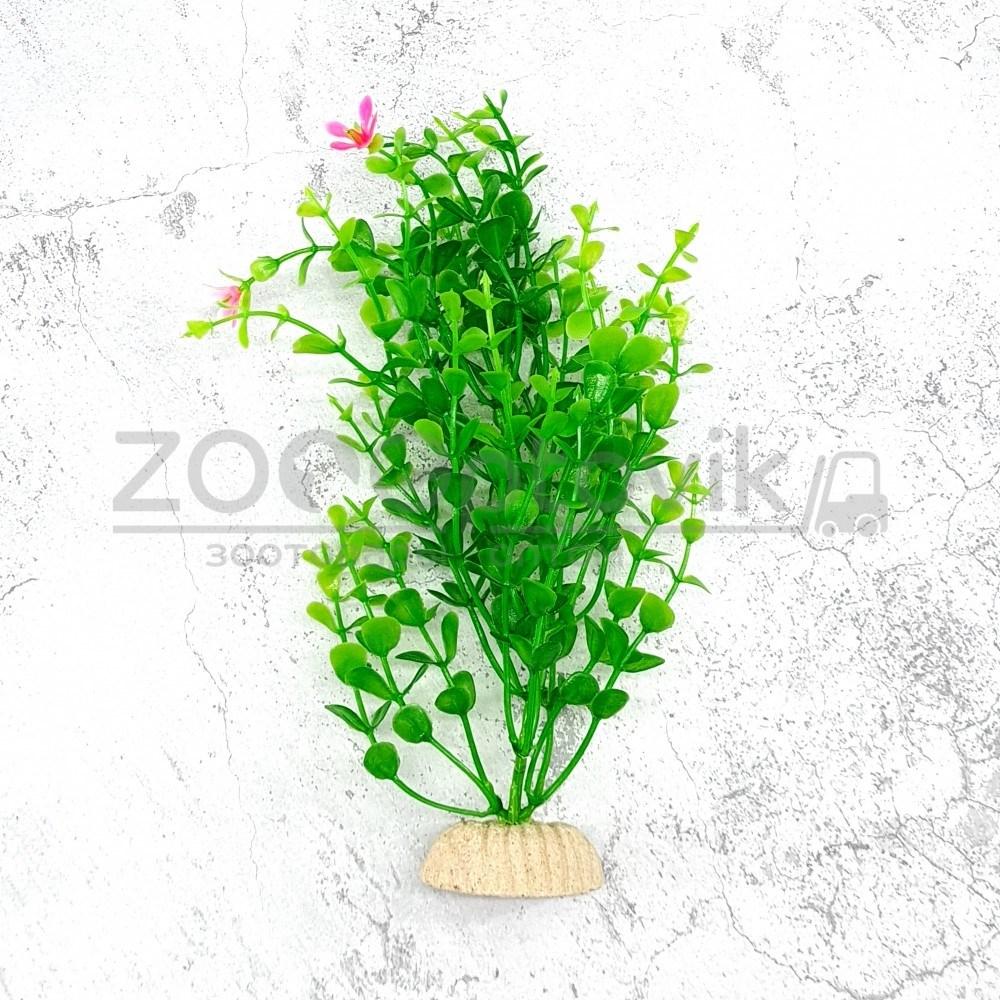 Barbus Растения MIX AР 20 см, 10 шт в ассортименте - фото 1 - id-p168945637