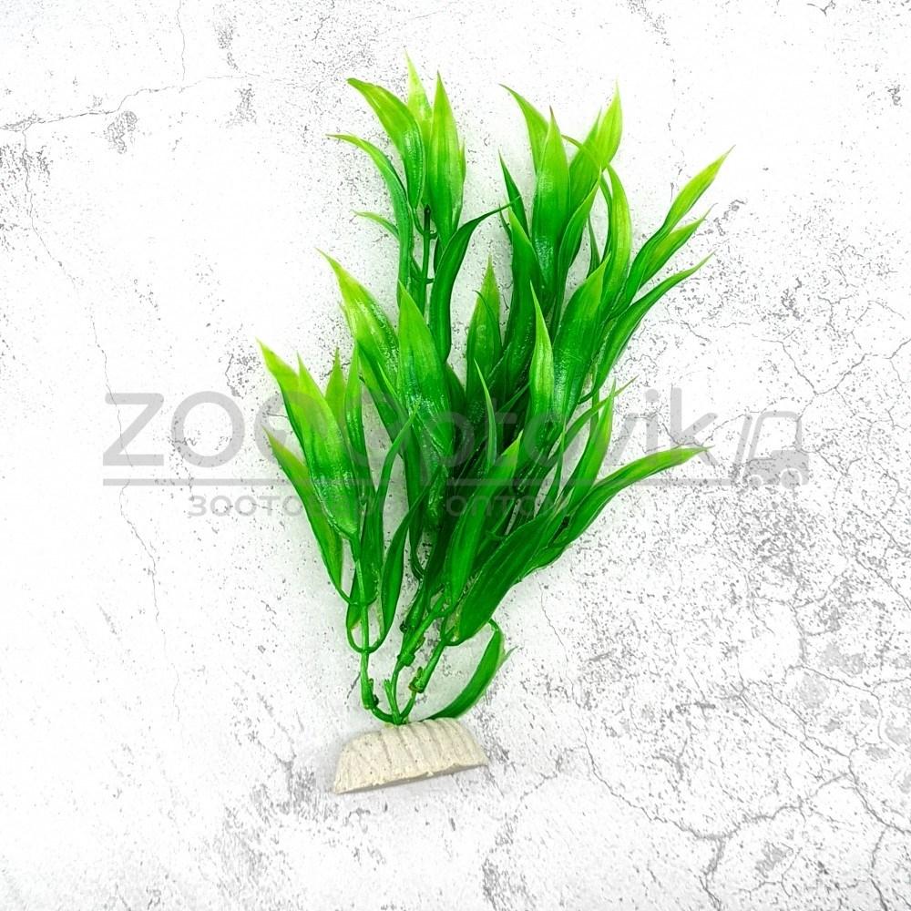 Barbus Растения MIX AР 20 см, 10 шт в ассортименте - фото 3 - id-p168945637