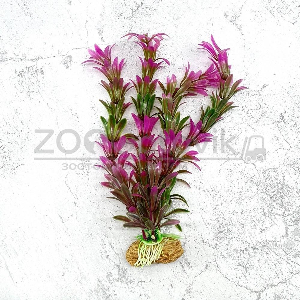 Barbus Растения MIX AР 20 см, 10 шт в ассортименте - фото 6 - id-p168945637