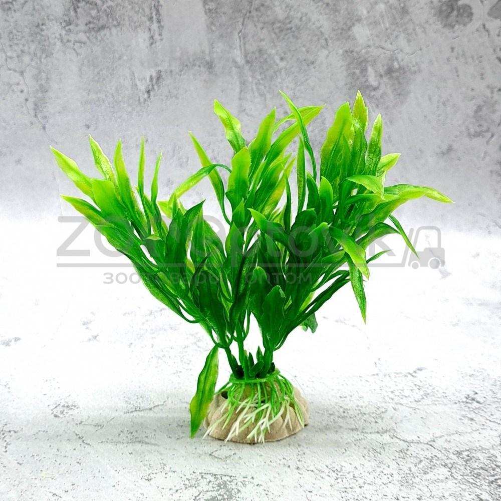 Barbus Растения MIX AР 10см, 10 шт в ассортименте - фото 8 - id-p168945638