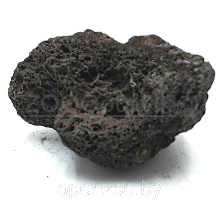 PRIME Декорация природная PRIME Камень Черный вулканический М 10-20см - фото 3 - id-p168943959