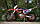 Мотоцикл Кросс Motoland WRX250 KT, фото 2