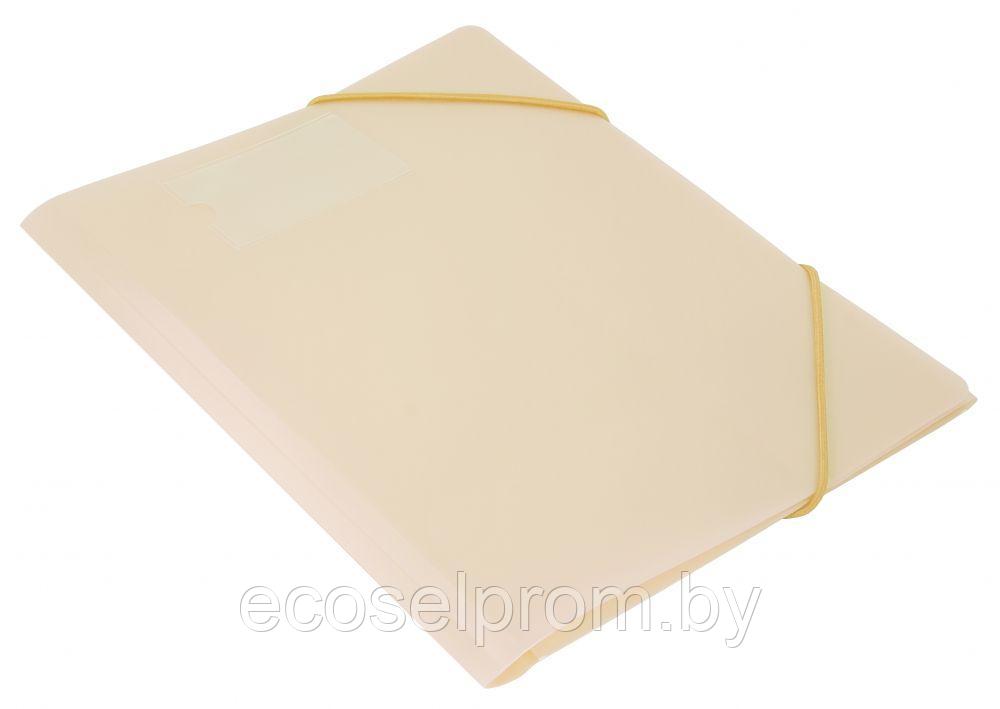 Папка на резинке Бюрократ Gems GEMPR05CREAM A4 пластик кор.30мм 0.5мм кремовый жемчуг карман для визитки, фото 1