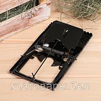 Крысоловка металлическая 15х8,5см Greengo