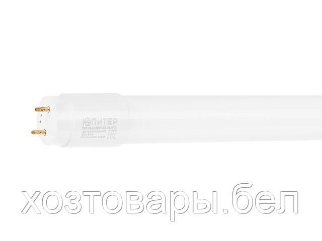 Лампа светодиодная промышленная T8 10 Вт G13 6500К ЮПИТЕР - фото 1 - id-p165684354
