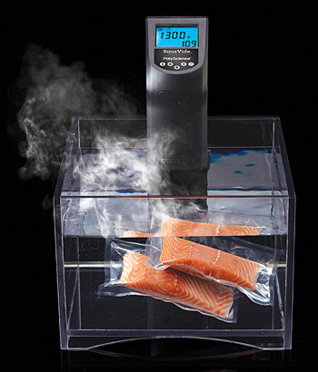 Аппарат Sous Vide Vortmax VS 1/1 с крышкой - фото 2 - id-p169200504