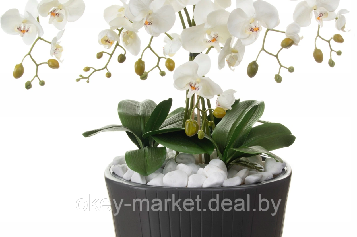 Цветочная композиция из орхидей в горшке 120 см - фото 4 - id-p169208053