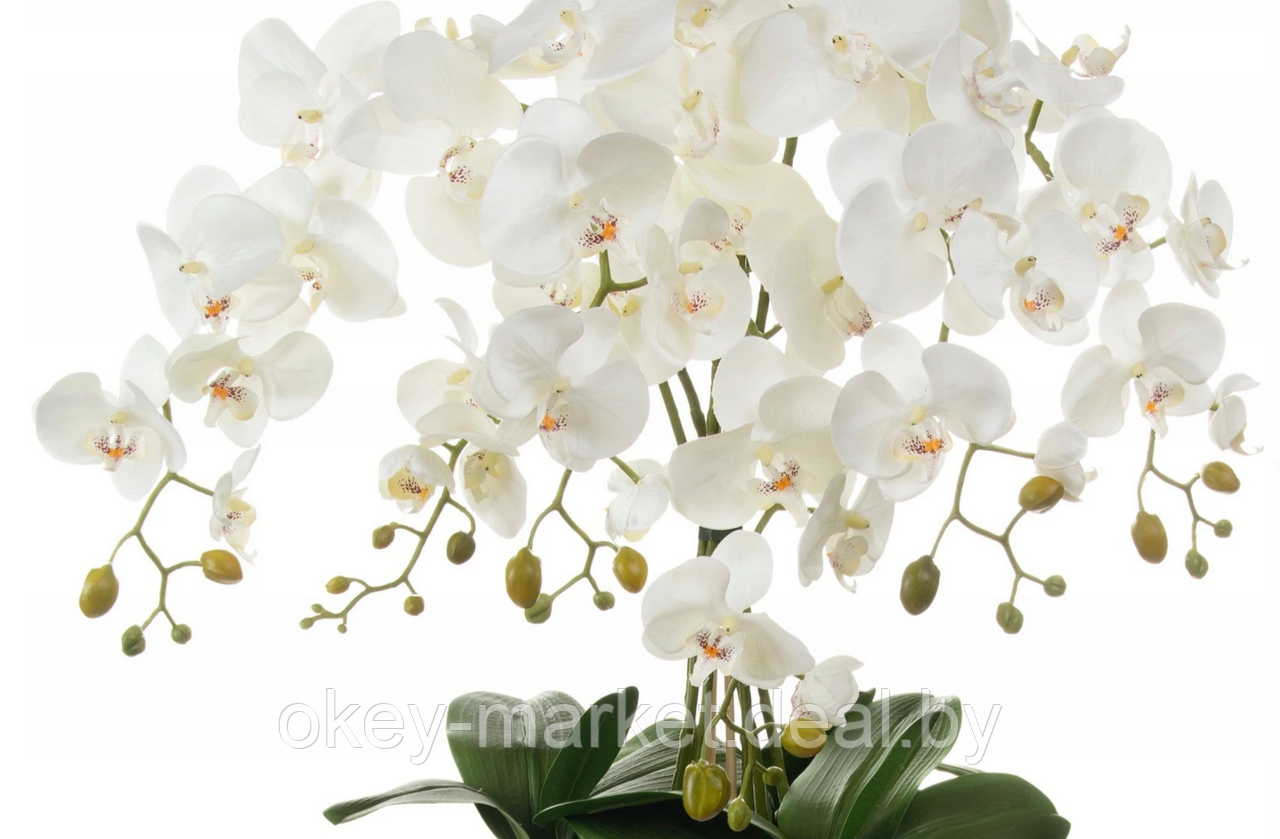 Цветочная композиция из орхидей в горшке 120 см - фото 3 - id-p169208053