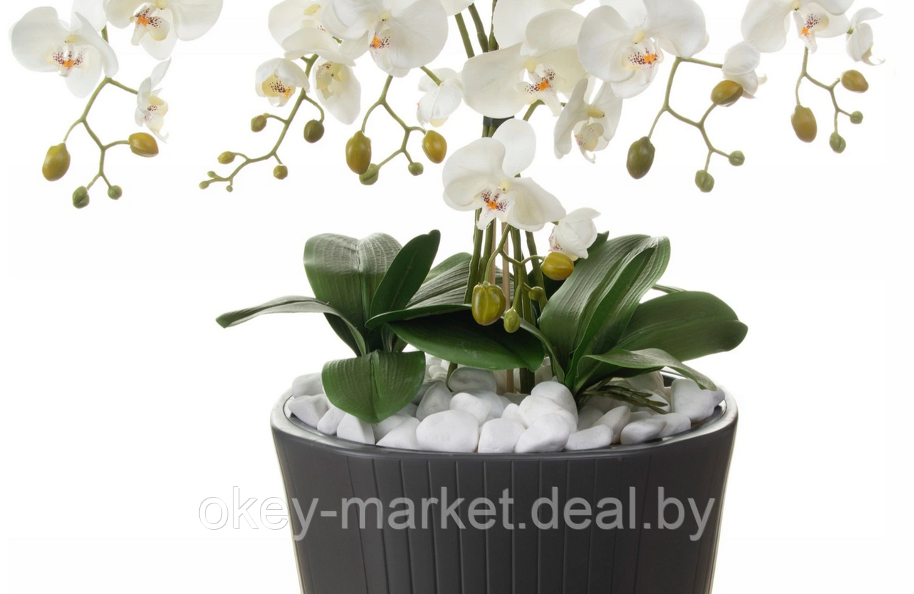 Цветочная композиция из орхидей в горшке 120 см - фото 5 - id-p169208053