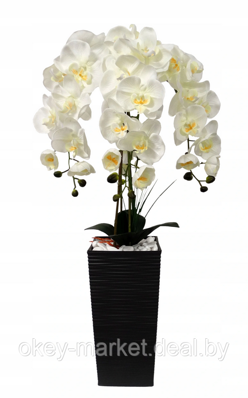 Цветочная композиция из орхидей в горшке 90 см - фото 6 - id-p169210207