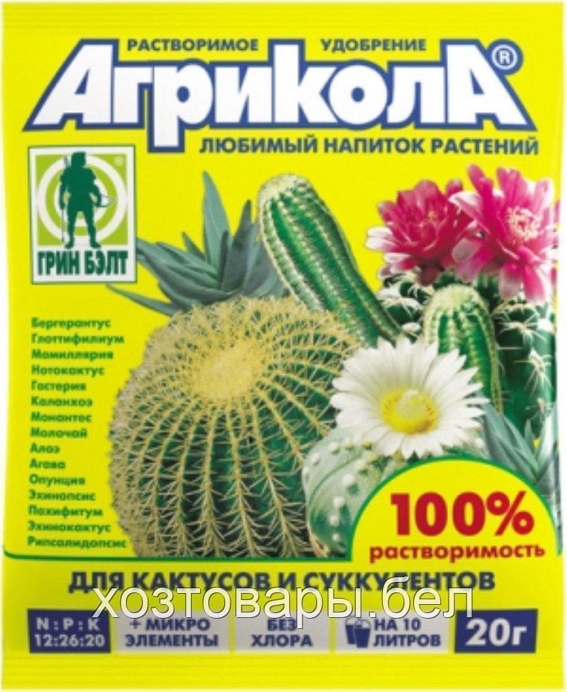 Агрикола №15 для кактусов 20г - фото 1 - id-p158281407