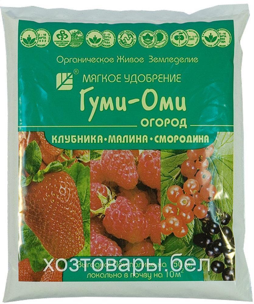 Гуми-Оми (клубника, малина, смородина) 700г