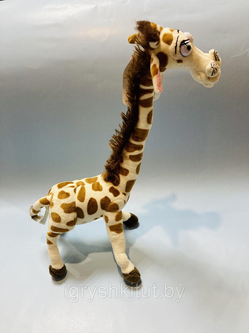 Мягкая игрушка Жираф, рост 45 см - фото 2 - id-p169254041