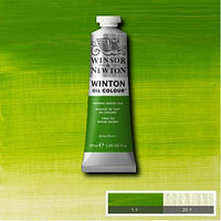 Краска масляная Winsor&Newton WINTON 37 мл CHROME GREEN HUE