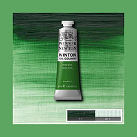 Краска масляная Winsor&Newton WINTON 37 мл TERRE VERTE