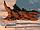 NATURAL 102 Коряга мангровая, размер L (46-55см), фото 5